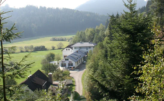 Familienbetrieb Hörleinsberger in Pierbach Tischlerei Hörleinsberger in Pierbach im Mühlviertel